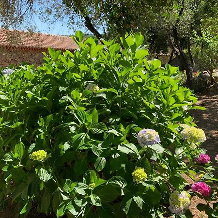 Hotel Valkarana Country Relais (Adults Only) Sant'Antonio di Gallura Ngoại thất bức ảnh