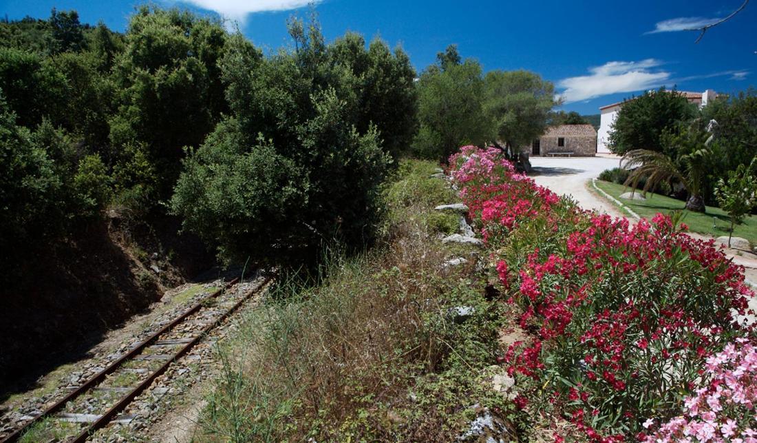 Hotel Valkarana Country Relais (Adults Only) Sant'Antonio di Gallura Ngoại thất bức ảnh