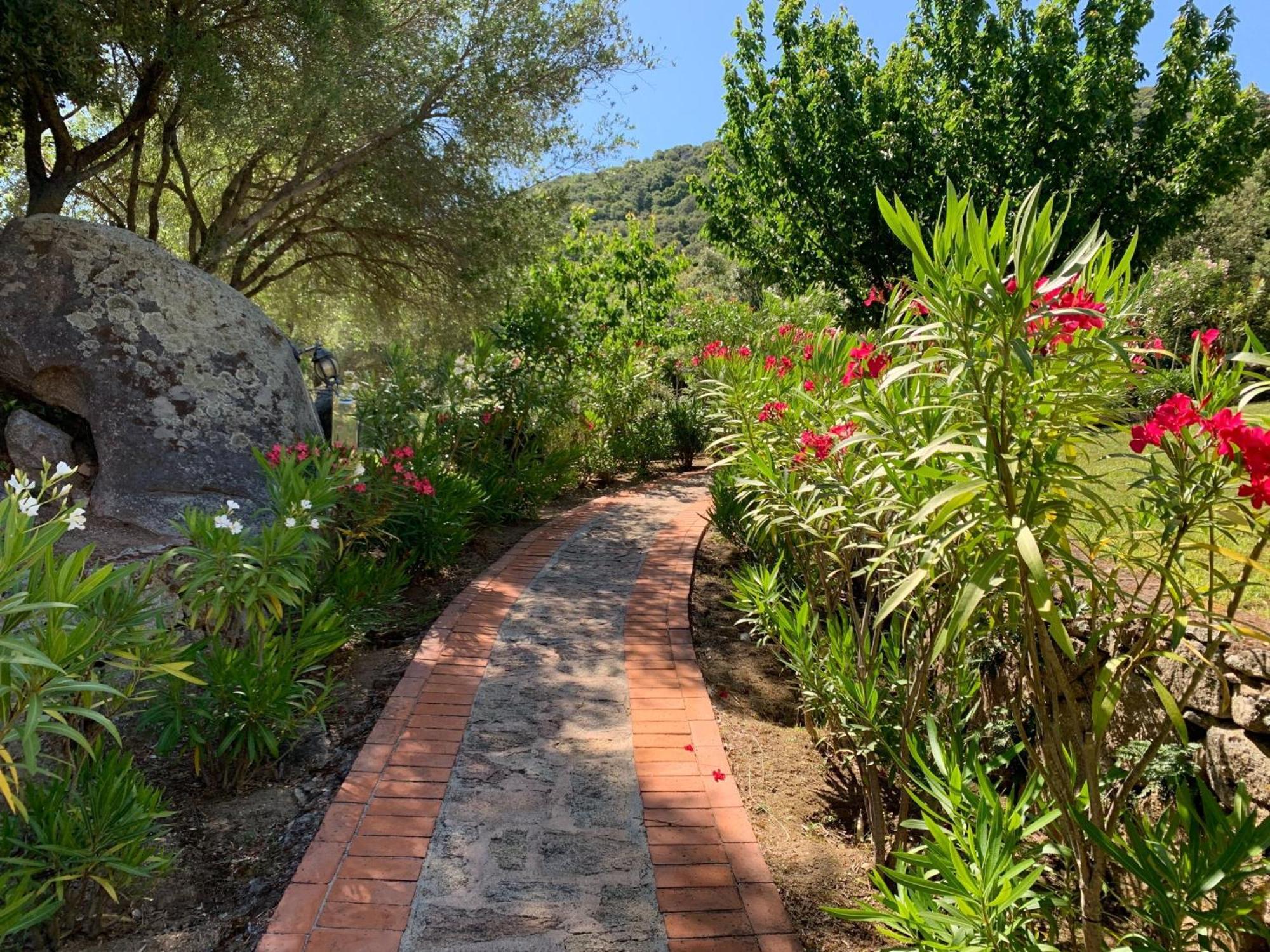 Hotel Valkarana Country Relais (Adults Only) Sant'Antonio di Gallura Ngoại thất bức ảnh